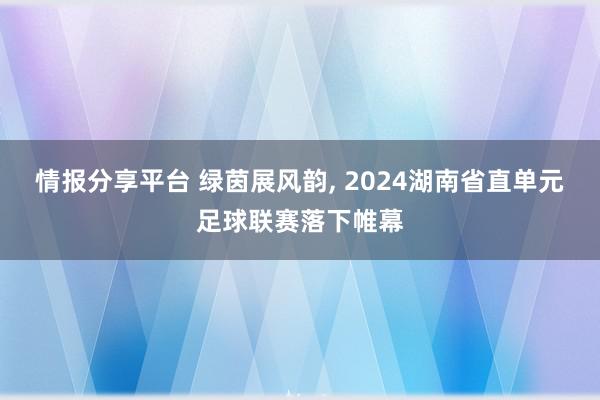 情报分享平台 绿茵展风韵, 2024湖南省直单元足球联赛落下帷幕