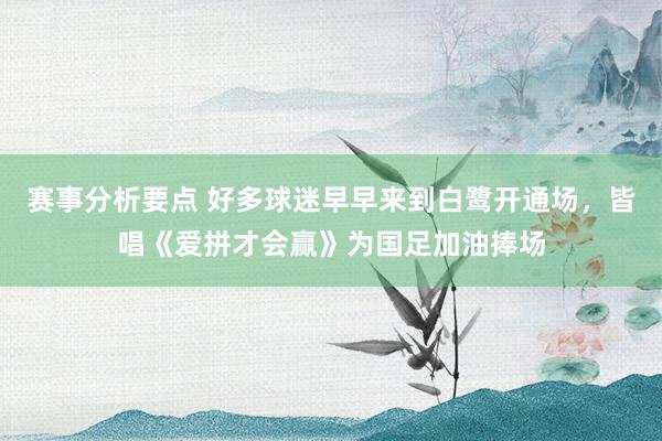 赛事分析要点 好多球迷早早来到白鹭开通场，皆唱《爱拼才会赢》为国足加油捧场