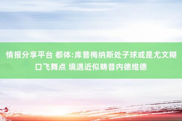 情报分享平台 都体:库普梅纳斯处子球或是尤文糊口飞舞点 境遇近似畴昔内德维德