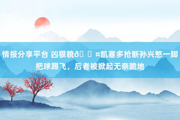 情报分享平台 凶狠貌😤凯塞多抢断孙兴慜一脚把球踢飞，后者被掀起无奈跪地