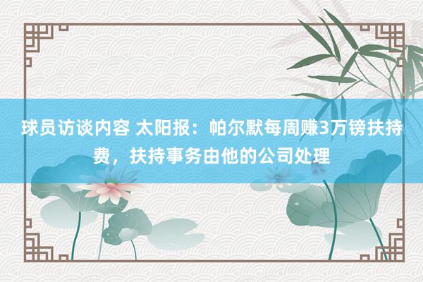 球员访谈内容 太阳报：帕尔默每周赚3万镑扶持费，扶持事务由他的公司处理